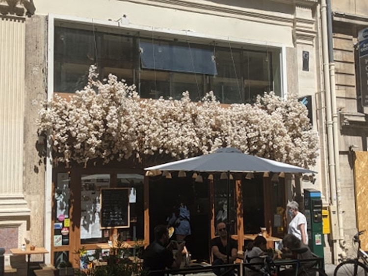 restaurant neko ramen paris 